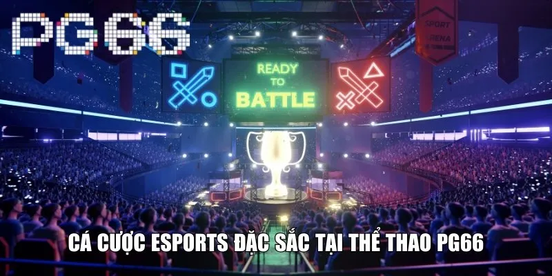 Cá cược Esports đặc sắc tại thể thao PG66