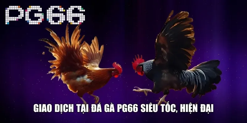 Giao dịch tại đá gà PG66 siêu tốc, hiện đại
