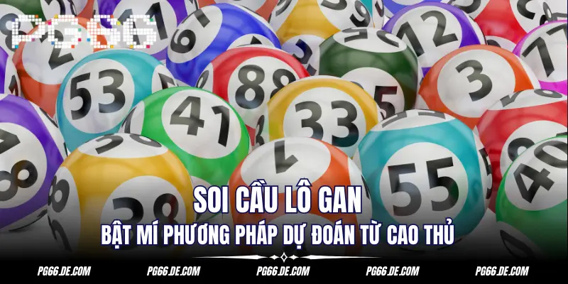 soi-cau-lo-gan