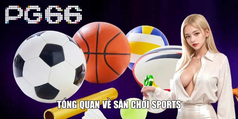 Tổng quan về sân chơi Sports
